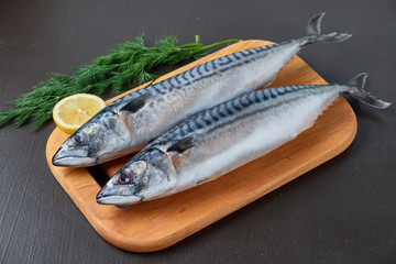 Fresh raw mackerel with lemon and dill on the board. Black background