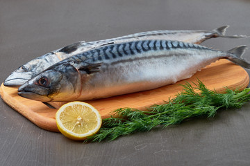 Fresh raw mackerel with lemon and dill on the board. Black background