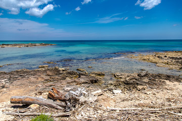 Il mare della riserva naturale di Torre Guaceto in Puglia