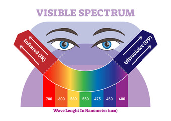 Visible spectrum vector illustration diagram, color scheme from infrared to ultraviolet color scale.  - obrazy, fototapety, plakaty
