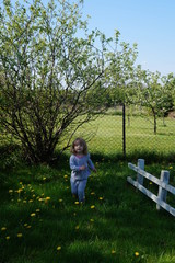 Mała ogrodniczka © japko28