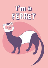 Cute cartoon style ferret with title above, on colorful background
