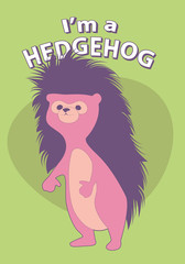 Cute cartoon style hedgehog with title above, on colorful background