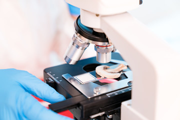 study of the quality of edible mushrooms with a microscope