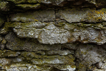 Stones covered with moss. Old wall of the building. Green moss