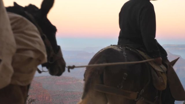  Grand Canyon Mules Convoy