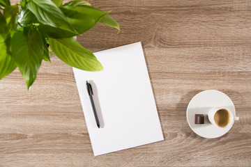 espresso on table with green plant, coffee beans and white blank paper and pen