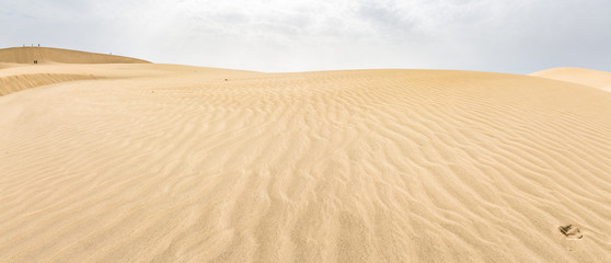 Panorama of the sandy desert