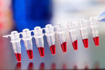 PCR micro tubes strips