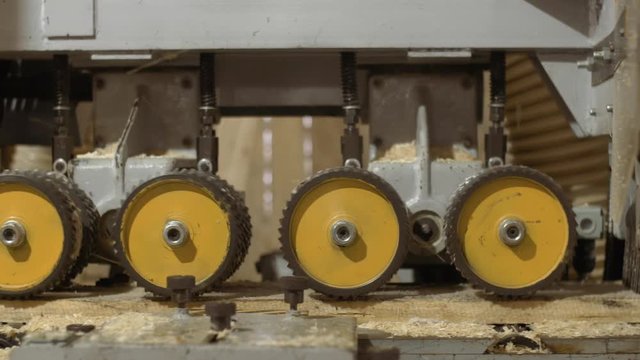 Running spiked wheels of timber refiner machine working on wood at sawmill production, close up