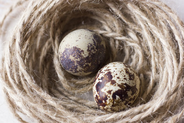 Quail eggs in a coffee cup and a bird nest with leaves on a white wooden background