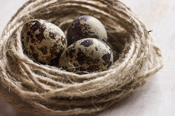 Naklejka na ściany i meble Quail eggs in a coffee cup and a bird nest with leaves on a white wooden background
