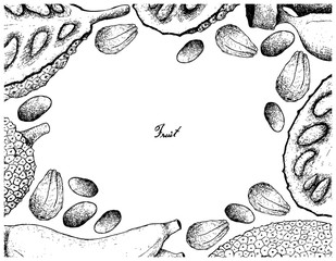 Hand Drawn Frame of Ripe Jackfruit and Banana Background © Iamnee