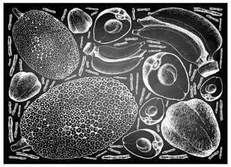 Hand Drawn of Pomerac, Jackfruit and Banana on Chalkboard © Iamnee