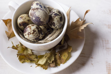Quail eggs in a coffee cup and a bird nest with leaves on a white wooden background