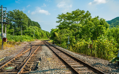 Fototapeta na wymiar Railway Natural View In Japan