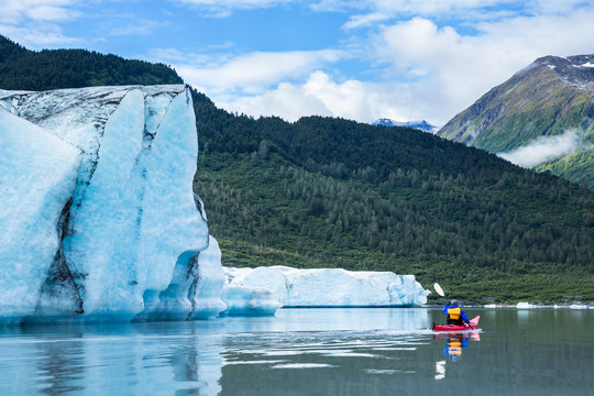Kayaker Paddling Away From Terminal Face Of The Spencer Glacier In Alaska