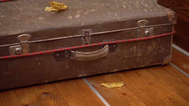 Vintage leather suitcase in wooden trunk with autumn leaves