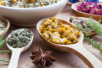 Dried mullein on a wooden spoon, with other herbs in the background