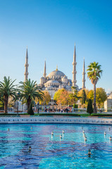 The Blue Mosque, (Sultanahmet Camii), Istanbul, Turkey. - obrazy, fototapety, plakaty
