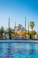 Zelfklevend Fotobehang De Blauwe Moskee, (Sultanahmet Camii), Istanbul, Turkije. © Olena Zn