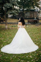 Fototapeta premium beautiful bride in a luxurious wedding dress