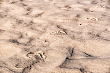 Coast dunes beach sea, texture