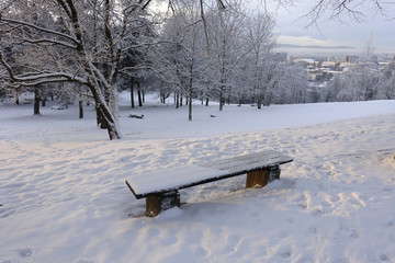 Norwegian winter landscape