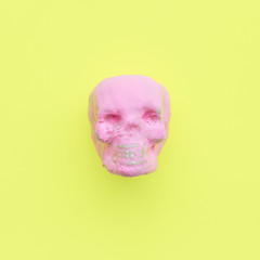 Pinky Skull. Fashion Minimal Candy Color Art