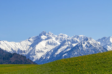 Fototapeta na wymiar Alpen - Allgäu - Oberstdorf - Berge - Panorama - Mai - April