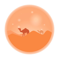 Fototapeta premium Bedouin leading a caravan of camels in the desert at sunset
