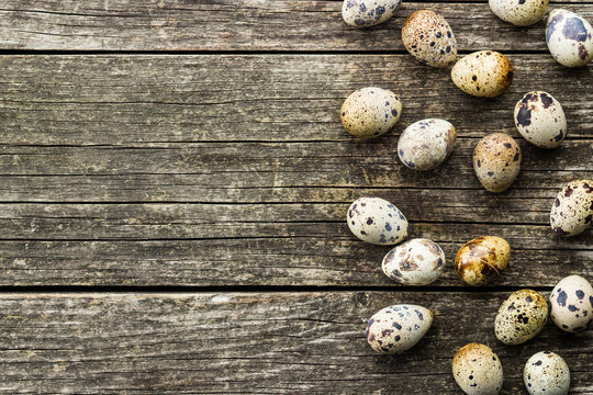 Fresh guail eggs.