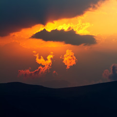 A cloud that looks like a bird. Phoenix at sunset.