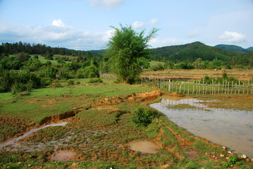 Rice paddy fields near the Plain of Jars archaeological site. The fields conceal a hidden danger from unexploded bombs from the Vietnam War which still kill and injure many to this day.