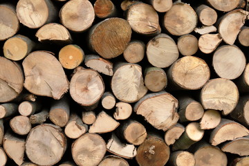 Firewood for the winter, stacks of firewood, pile of firewood