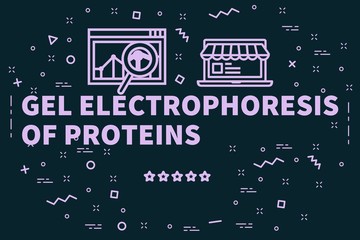 Conceptual business illustration with the words gel electrophoresis of proteins