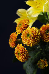 A photo of lilies and chrysanthemum flowers against black background. Chrysanthemums, sometimes called mums or chrysanths, are flowering plants of the genus Chrysanthemum in the family Asteraceae.