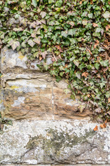 Feuchte Sandsteinwand