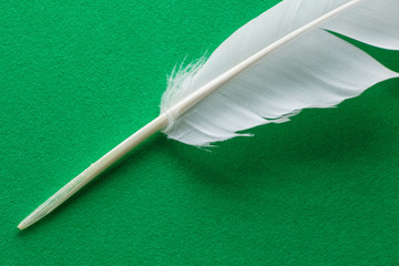 White feather macto texture on freen table