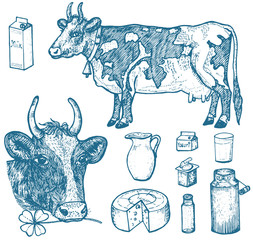 Set of milk food, dairy products, yogurt and cheese, ice cream, bottle, jug, butter and whipped milkshake. cow, can, country or rustic farm, healthy diet. engraved hand drawn in old sketch.