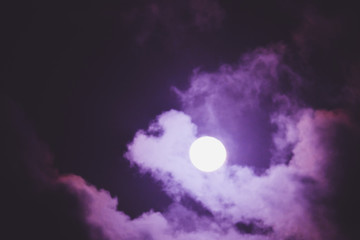Naklejka na ściany i meble Under a violet moon