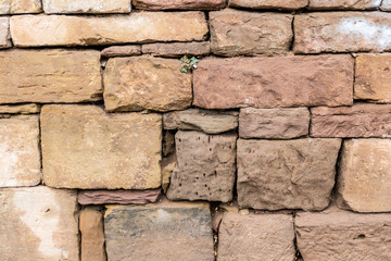 Feuchte Sandsteinwand
