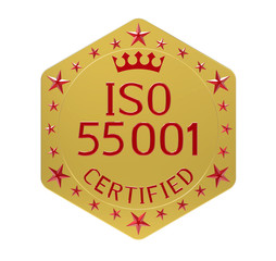 ISO 55001 standard