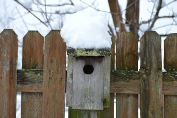 Birdhouse in Winter