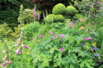 Perennial garden