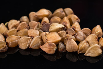 Macro collection, gluten free roasted dry boekwheat seeds close up