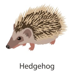 Hedgehog icon, isometric style