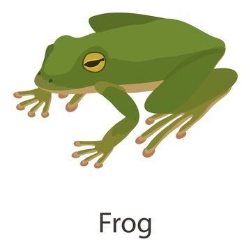Frog icon, isometric style