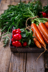 Bunch of fresh carrots with green leaves and a bunch of radishes over wooden background. Vegetable.Food or Healthy diet concept.Vegetarian. selective focus.