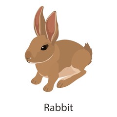 Rabbit icon, isometric style